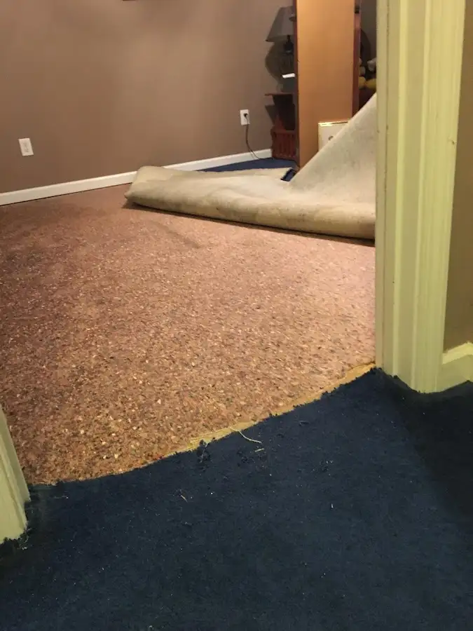 Carpet pad removal revealing water damage during Drying & Dehumidification in Mayo