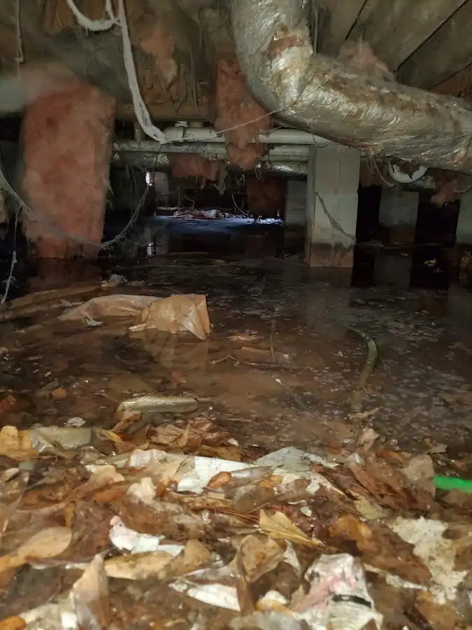Crawl space flood assessment for Leak Detection & Repair in Mayo